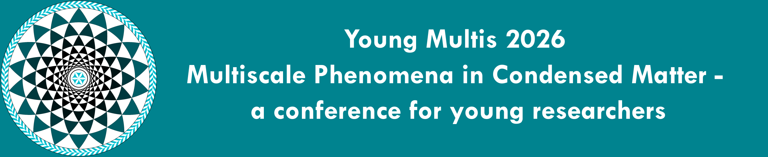 YOUNG MULTIS 2026 - Multiscale Phenomena in Condensed Matter -  Workshop for Young Researchers
