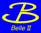 Belle II Computing Workshop